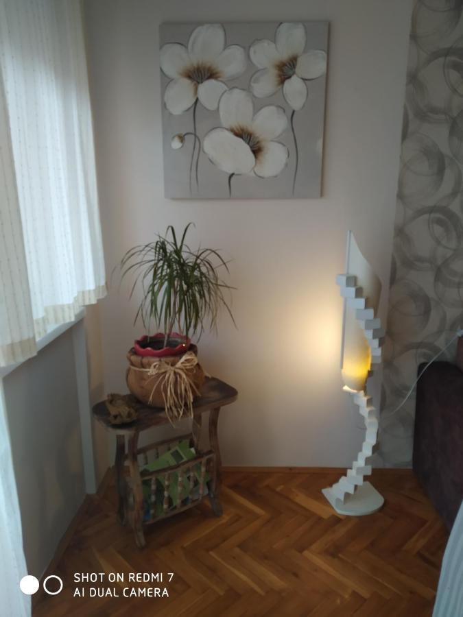 Apartman Ivan ヴルドニーク エクステリア 写真