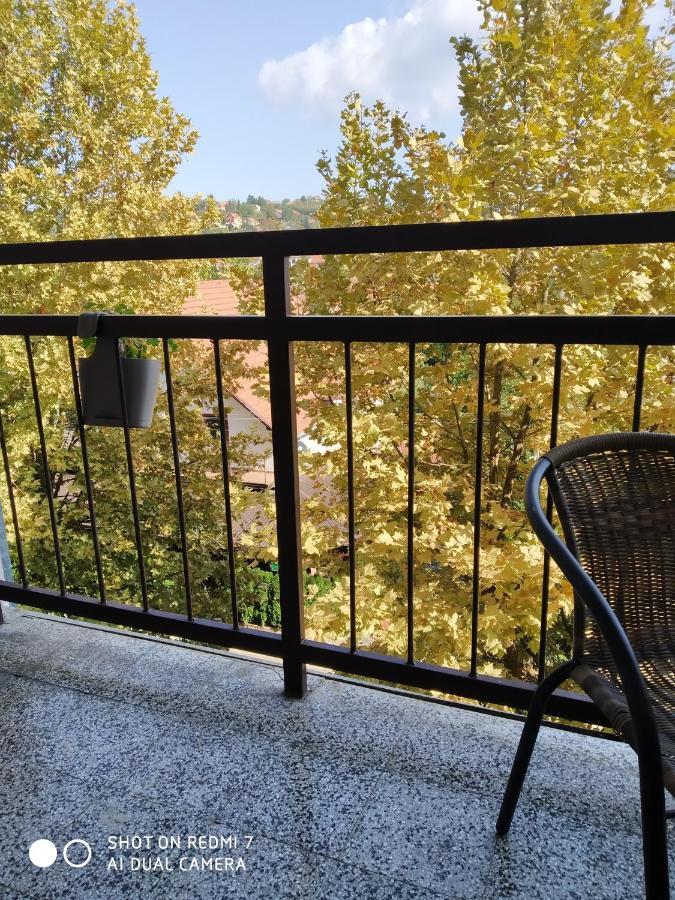 Apartman Ivan ヴルドニーク エクステリア 写真