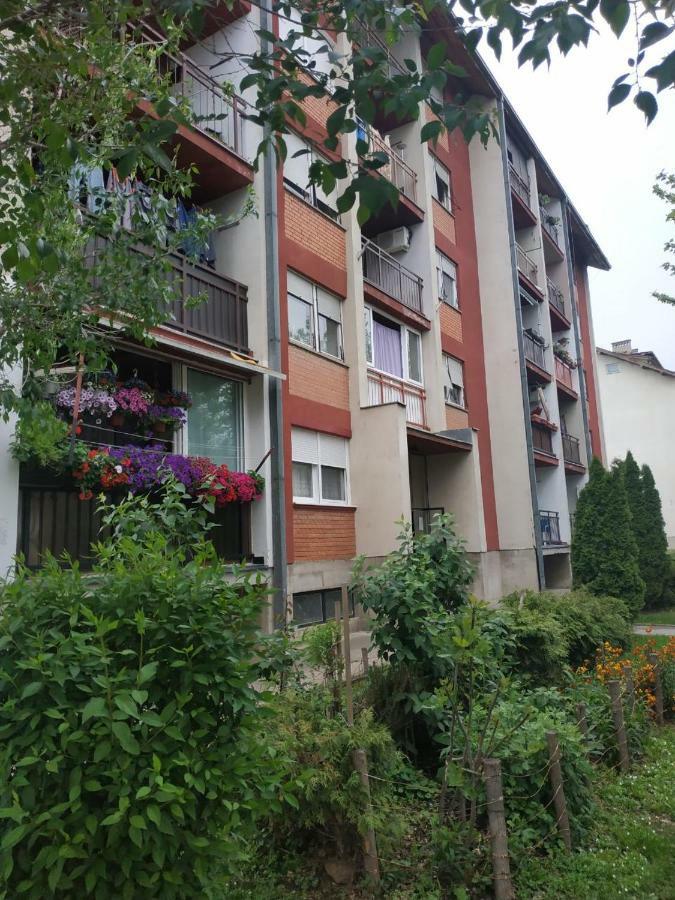 Apartman Ivan ヴルドニーク エクステリア 写真