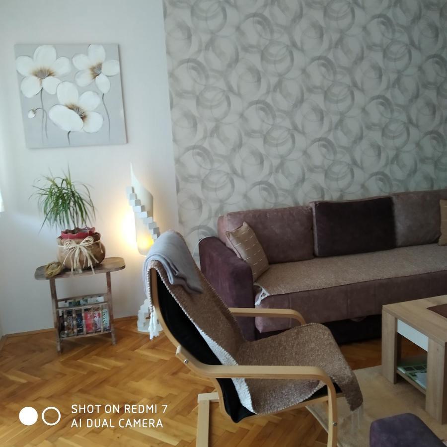 Apartman Ivan ヴルドニーク エクステリア 写真